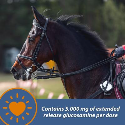 Show full view: Farnam MaxFlex XR Extended Release Horse Joint Supplement, 0.9375-lb jar slide 4 of 11