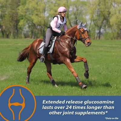 Show full view: Farnam MaxFlex XR Extended Release Horse Joint Supplement, 0.9375-lb jar slide 5 of 11