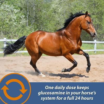 Show full view: Farnam MaxFlex XR Extended Release Horse Joint Supplement, 0.9375-lb jar slide 6 of 11