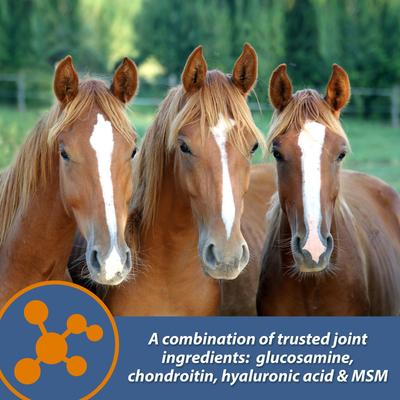 Show full view: Farnam MaxFlex XR Extended Release Horse Joint Supplement, 0.9375-lb jar slide 7 of 11