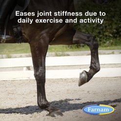 Farnam Next Level Joint Fluid Supplement, Supports Healthy Hip & Joint Function for Horses & Dogs, 128-fl oz slide 2 of 8