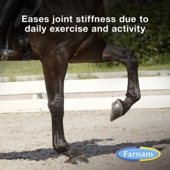 Farnam Next Level Joint Fluid Supplement, Supports Healthy Hip & Joint Function for Horses & Dogs, 16-fl oz slide 2 of 9