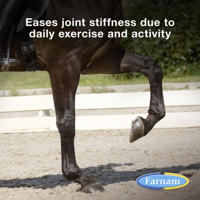 Show full view: Farnam Next Level Joint Fluid Supplement, Supports Healthy Hip & Joint Function for Horses & Dogs, 32-fl oz slide 2 of 10