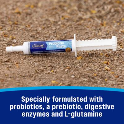 Show full view: Farnam Probiotic Apple & Molasses Flavor Paste Horse Supplement, 30-g tube slide 7 of 11