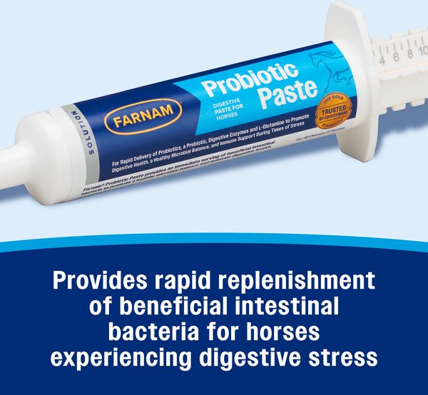 Show full view: Farnam Probiotic Apple & Molasses Flavor Paste Horse Supplement, 30-g tube slide 2 of 11
