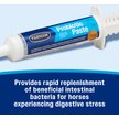 Show in main carousel: Farnam Probiotic Apple & Molasses Flavor Paste Horse Supplement, 30-g tube slide 2 of 11