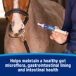 Show in main carousel: Farnam Probiotic Apple & Molasses Flavor Paste Horse Supplement, 30-g tube slide 5 of 11