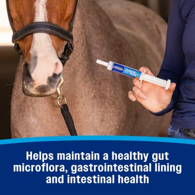 Show full view: Farnam Probiotic Apple & Molasses Flavor Paste Horse Supplement, 30-g tube slide 5 of 11