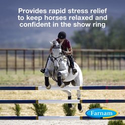 Farnam Quietex Show Calming & Focusing Paste Horse Supplement, 30 cc slide 2 of 9