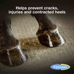 Farnam Rain Maker Horse Hoof Moisturizer, 32-fl oz slide 2 of 9