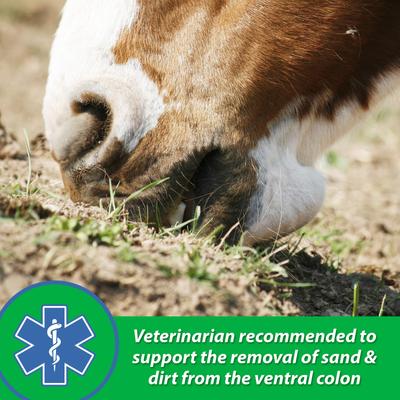 Show full view: Farnam SandClear Natural Psyllium Fiber Crumbles Apple/Molasses Flavor Horse Supplement, 50-lb bag slide 4 of 9