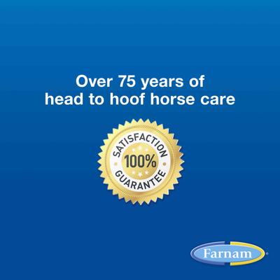 Show full view: Farnam SimpliFly Feed-Thru Fly Control Pellets Horse Supplement, 10-lb bucket slide 9 of 11