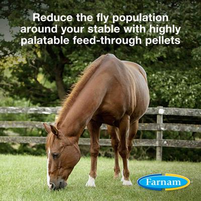 Show full view: Farnam SimpliFly Feed-Thru Fly Control Pellets Horse Supplement, 3.75-lb bucket slide 2 of 11