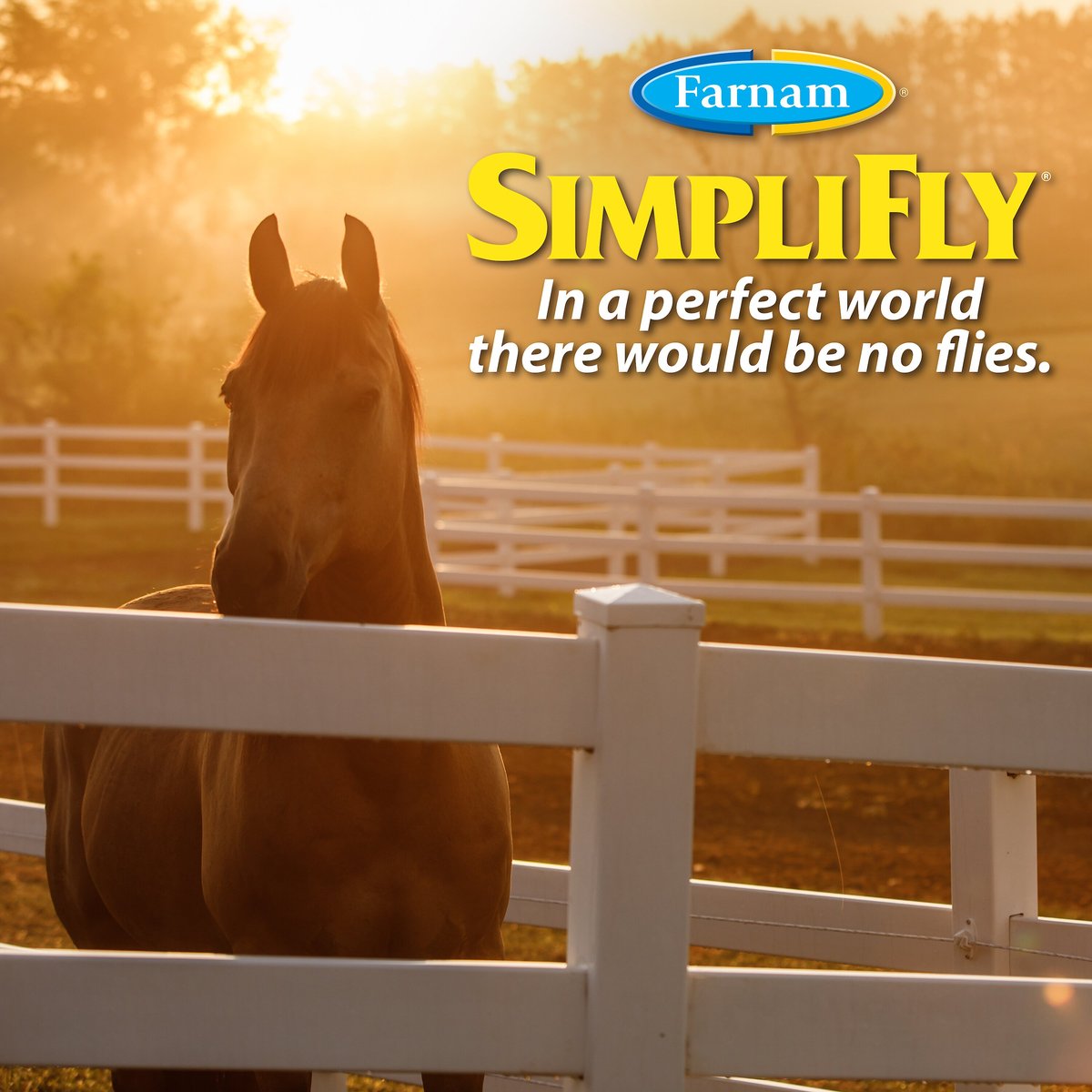 FARNAM SimpliFly Feed-Thru Fly Control Pellets Horse Supplement, 50-lb ...