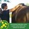 Show in main carousel: Farnam Super 14 Healthy Skin & Coat Granules Horse Supplement, 2.75-lb tub slide 7 of 10