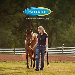 Farnam SuperMask II Horse Fly Mask Classic Collection, Color Varies, Horse