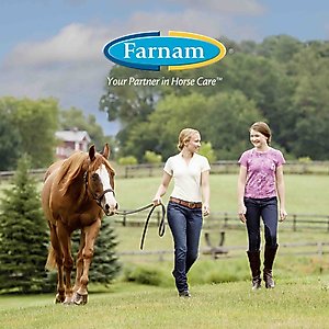 Farnam Swat Original Fly Repellent Ointment Horse Supplement, 7-oz tub