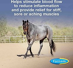 Farnam Vetrolin Sore Muscle & Joint Pain Relief Horse Liniment Concentrate, 1-qt bottle slide 2 of 9