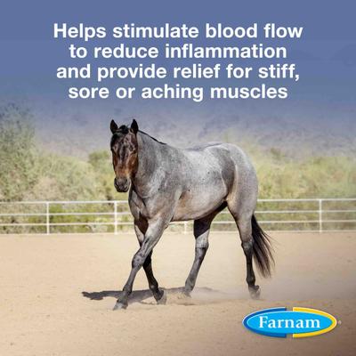 Show full view: Farnam Vetrolin Sore Muscle & Joint Pain Relief Horse Liniment Concentrate, 1-qt bottle slide 2 of 11