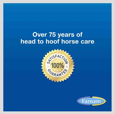 Show full view: Farnam Vetrolin Sore Muscle & Joint Pain Relief Horse Liniment Spray, 1-gal bottle slide 6 of 11