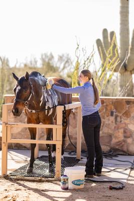 Show full view: Farnam Vetrolin Wonder Blue Deep Cleaning Moisturizing Dog & Horse Shampoo, 32-fl oz bottle slide 6 of 10