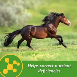 Farnam Vita-Min E & Selenium Antioxidant Soft Chew Horse Supplement, 3-lb bucket slide 2 of 7