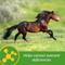 Show in main carousel: Farnam Vita-Min E & Selenium Antioxidant Soft Chew Horse Supplement, 3-lb bucket slide 2 of 7