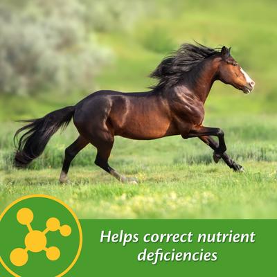 Show full view: Farnam Vita-Min E & Selenium Antioxidant Soft Chew Horse Supplement, 3-lb bucket slide 2 of 7