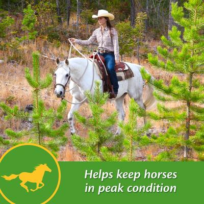 Show full view: Farnam Vita-Min E & Selenium Antioxidant Soft Chew Horse Supplement, 3-lb bucket slide 3 of 7