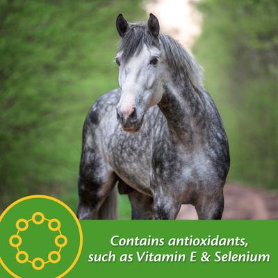 Show full view: Farnam Vita Plus Balanced Multi-Vitamin & Mineral Pellets Horse Supplement, 7.5-lb tub slide 5 of 7