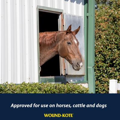 Show full view: Farnam Wound-Kote Blue Dressing Lotion Spray for Horses & Dogs, 7-fl oz bottle slide 3 of 6