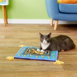 Fat Cat Boogie Mat Cat Toy, Color Varies