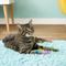 Show in main carousel: Fat Cat Crazies Playrings Cat Toy slide 5 of 7