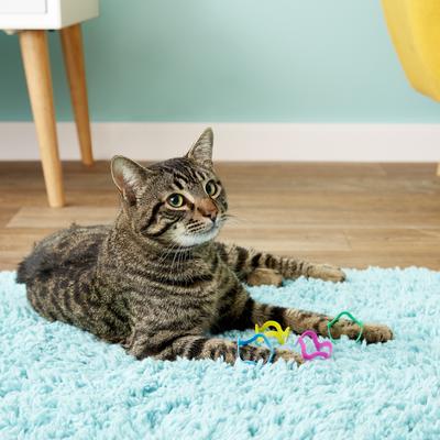 Show full view: Fat Cat Crazies Playrings Cat Toy slide 5 of 7