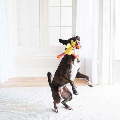 Show full view: Fat Cat Floppability Barnyard Bullies Squeaky Dog Toy, Suspicious Chicken slide 2 of 7