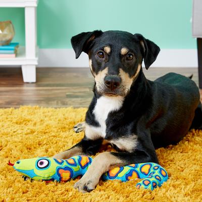 Show full view: Fat Cat Incredible Strapping Yankers Snake Squeaky Dog Toy, Color Varies slide 3 of 7