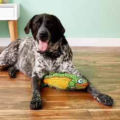 Fat Cat Incredible Strapping Yankers Trout Squeaky Dog Toy, Color Varies slide 2 of 3