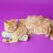 Show in main carousel: Fat Cat Kitty Kickz Gold Fish Roll Cat Toy slide 3 of 5