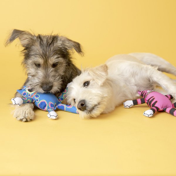 Fat Cat Food Animals Dog Toy, Character Varies