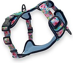 FearLess Pet Heavy Duty Padded Adjustable No Pull No Escape Dog Harness, Teal Hawaiian, Medium