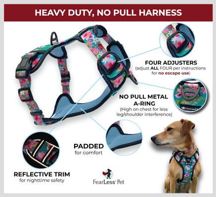 Show full view: FearLess Pet Heavy Duty Padded Adjustable No Pull No Escape Dog Harness, Teal Hawaiian, Medium slide 2 of 11