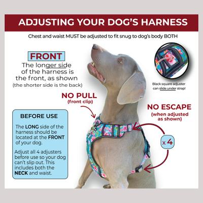 Show full view: FearLess Pet Heavy Duty Padded Adjustable No Pull No Escape Dog Harness, Teal Hawaiian, Medium slide 5 of 11