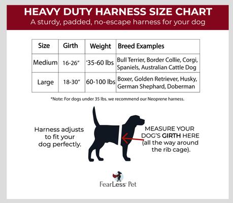 Show full view: FearLess Pet Heavy Duty Padded Adjustable No Pull No Escape Dog Harness, Teal Hawaiian, Medium slide 6 of 11