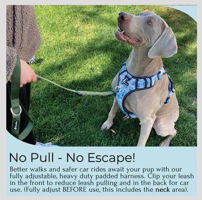 Show full view: FearLess Pet Heavy Duty Padded Adjustable No Pull No Escape Dog Harness, The Great Outdoors, Medium slide 3 of 11