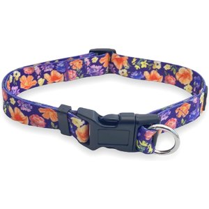 FearLess Pet Safe Cinch Dog Collar, Poppies, Medium/Large