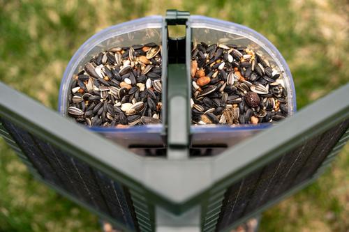 Show full view: FeatherSnap Scout Wi-Fi Solar Powered Camera Smart Bird Feeder, Clear/Green, 2-L slide 8 of 10