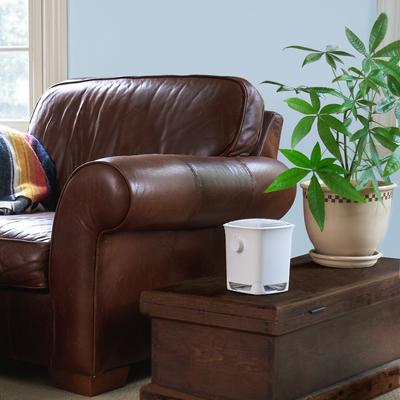 Show full view: Febreze FHT150W OdorGrab Air Cleaner, White slide 5 of 6