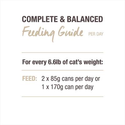 Show full view: Feline Natural Beef Feast Grain-Free Canned Cat Food, 3-oz, case of 24 slide 10 of 11