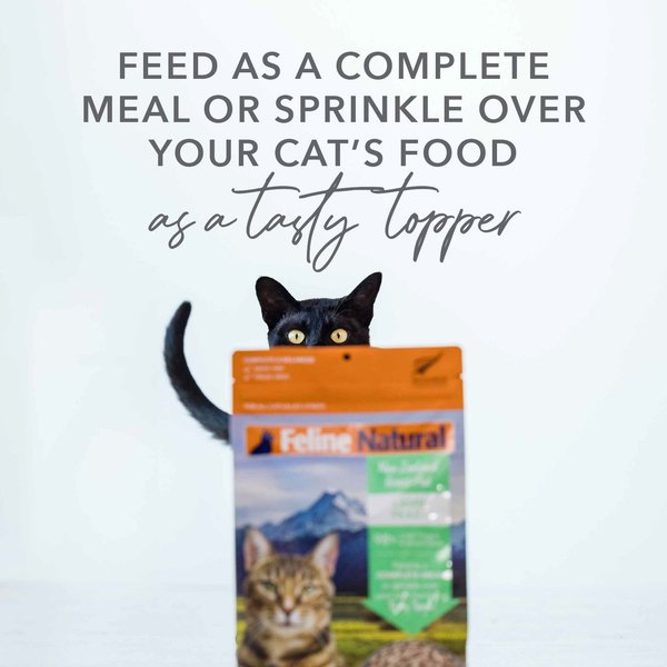 Picture of FELINE NATURAL Beef Grain-Free Freeze-Dried Cat Food, 11-oz bag - Chewy.com