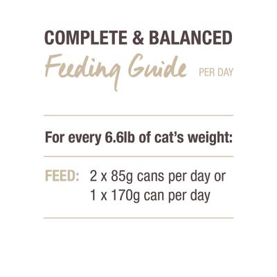 Show full view: Feline Natural Beef & Hoki Feast Grain-Free Canned Cat Food, 3-oz, case of 24 slide 10 of 11
